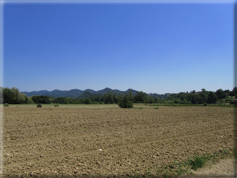 foto Paesaggi Collinari in Primavera